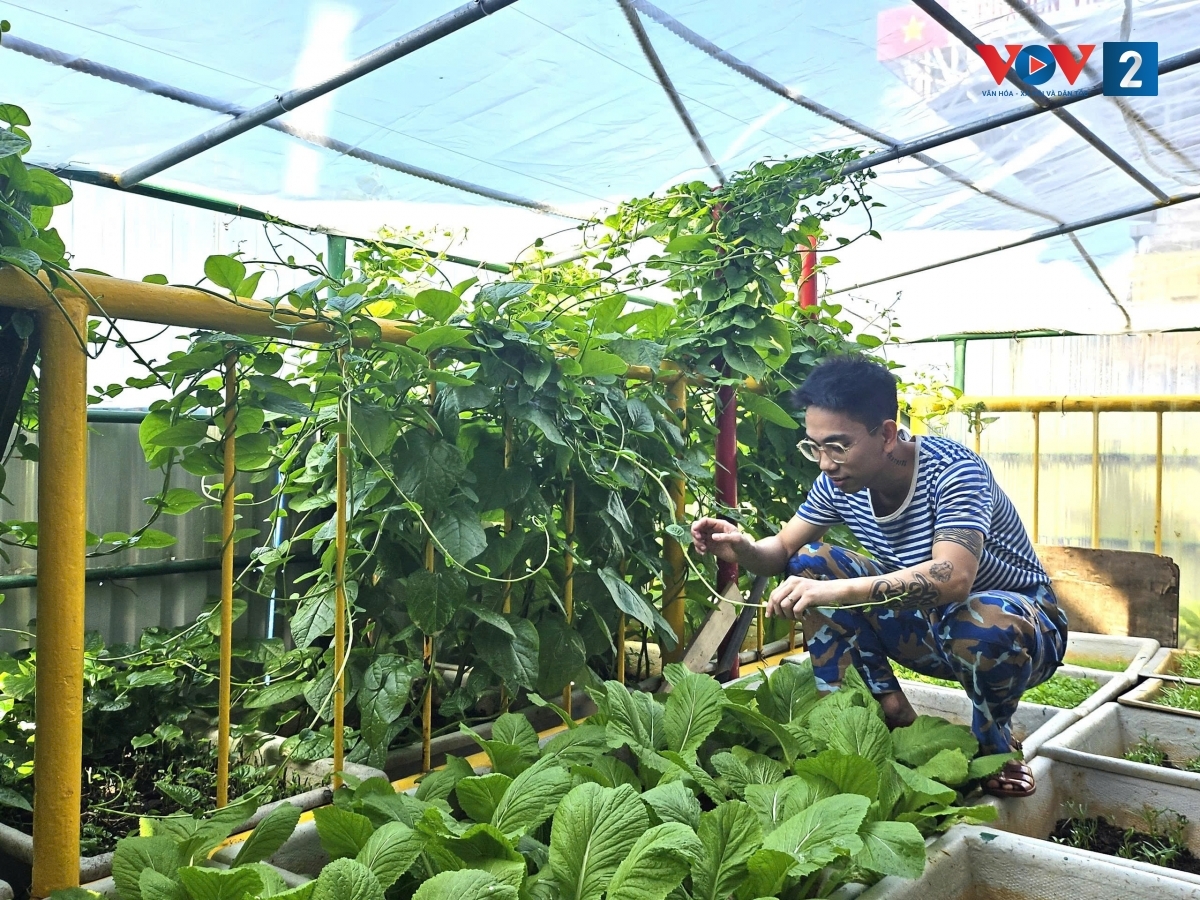 kỳ công ủ nước mắm và trồng rau trên nhà giàn dk1 hình ảnh 5 ky cong u nuoc mam va trong rau tren nha gian dk1 hinh anh 5