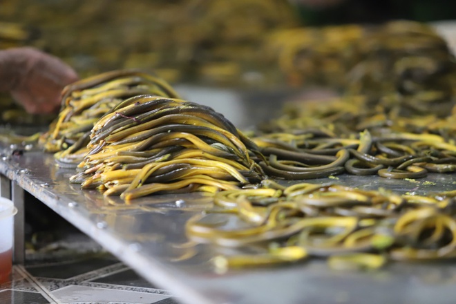 Lươn xứ Nghệ: Từ món ăn dân gian thành di sản ẩm thực quốc gia- Ảnh 3.