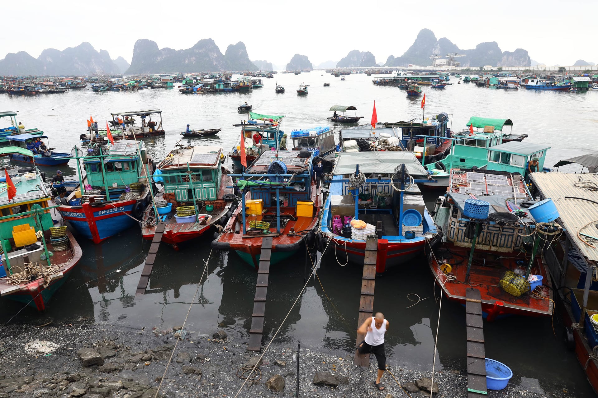 Bộ Nông nghiệp và Môi trường đề nghị UBND các tỉnh, thành phố ven biển tổ chức thăm hỏi, động viên tinh thần, vật chất cho các hộ ngư dân có hoàn cảnh khó khăn, ngư dân tham gia bám biển khai thác hải sản trong dịp Tết Nguyên đán Bính Ngọ 2026. Ảnh: Hồng Thắm.