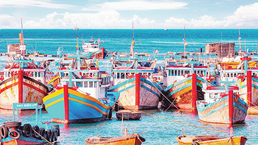 Nhiều tàu cá ở miền trung đã sử dụng công nghệ để ra khơi khai thác hải sản hiệu quả và bền vững. Ảnh: Ng Lân