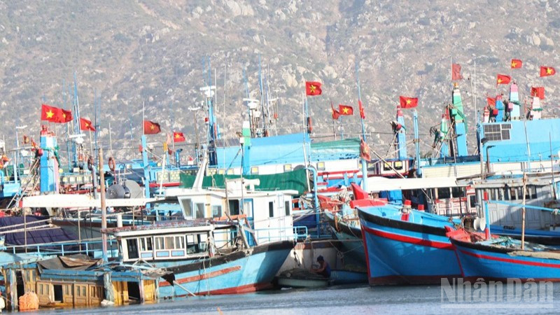 Tàu cá của ngư dân xã Cà Ná (Khánh Hòa) neo đậu an toàn, chuẩn bị cho việc sửa chữa. (Ảnh: NGUYỄN TRUNG)