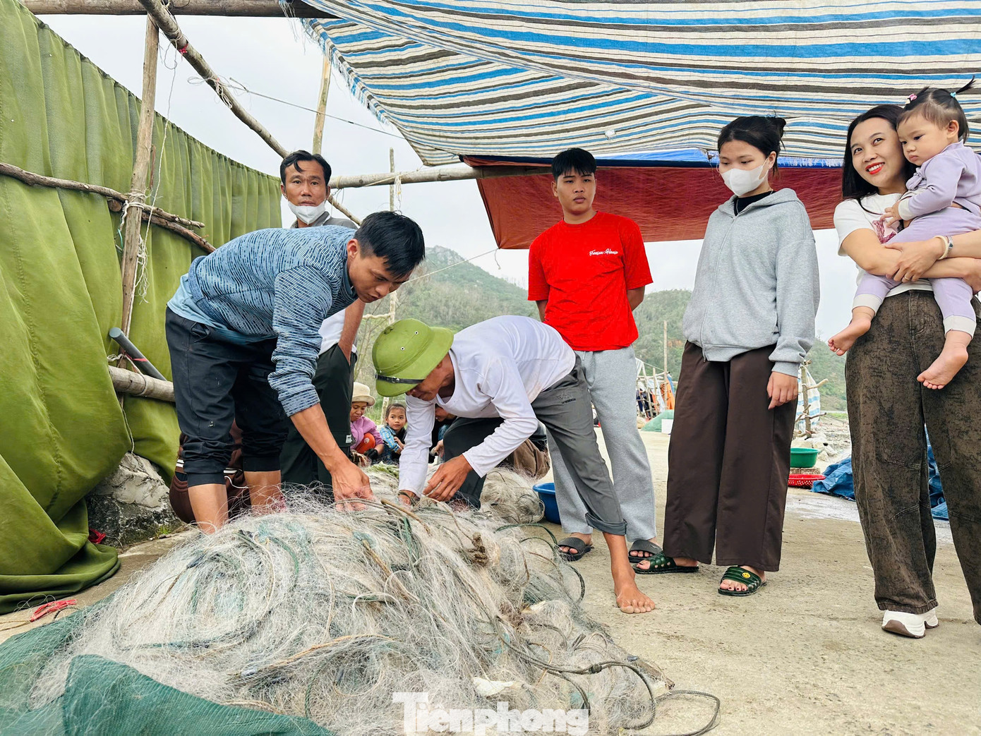 Anh Nguyễn Văn Hải (26 tuổi, trú xã Lộc Hà) cho biết, tàu của gia đình ra khơi từ sáng mùng 1 Tết. Trong một tuần qua, ngày nào thuyền của gia đình anh cũng ra biển đánh bắt hải sản gần bờ, cho thu nhập hàng chục triệu đồng. tp-anh-ca-skhdld.jpg
