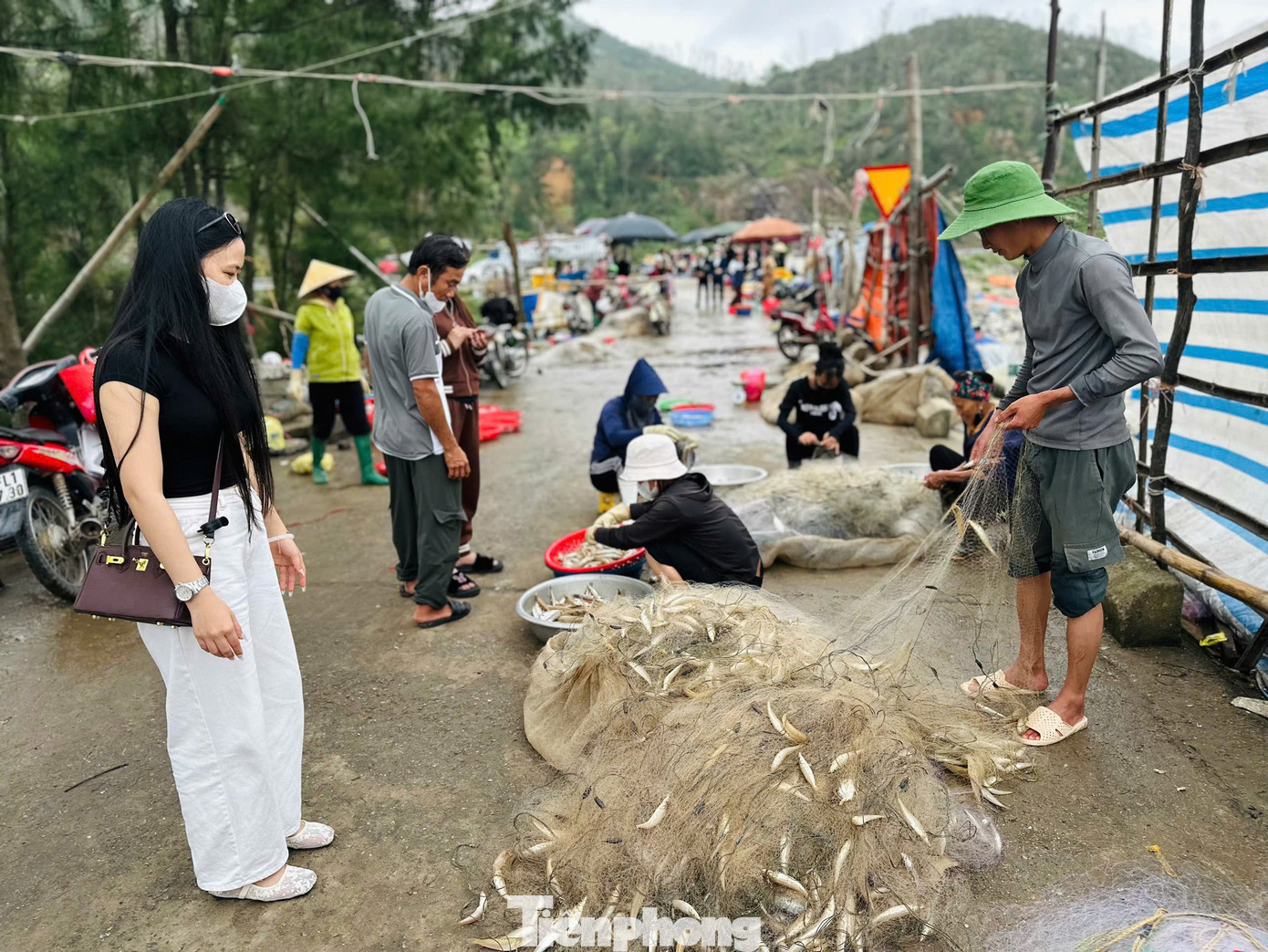 Không chỉ người dân địa phương mà nhiều khách hàng từ các xã, phường khác, thậm chí ngoài tỉnh cũng tìm về tận bãi biển để hỏi mua, khiến không khí mua bán đầu Xuân thêm phần nhộn nhịp. tp-ihbsksk.jpg