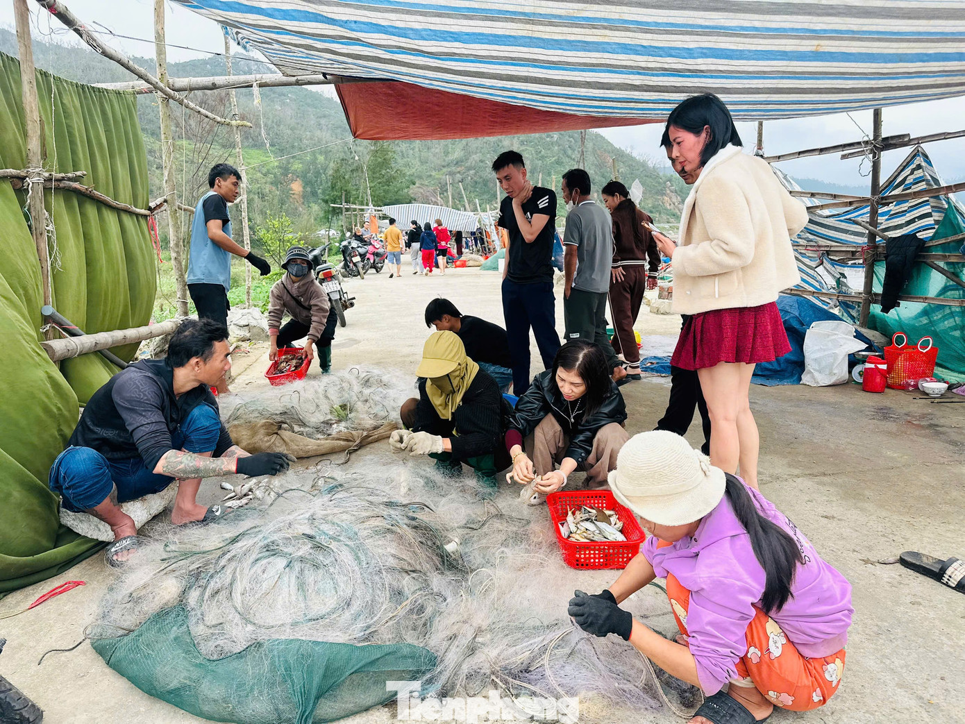 Nhờ nguồn hải sản tươi sống, vừa được đánh bắt và đưa vào bờ trong ngày, hoạt động mua bán tại bãi biển diễn ra hết sức nhộn nhịp. tp-3ubsj.jpg