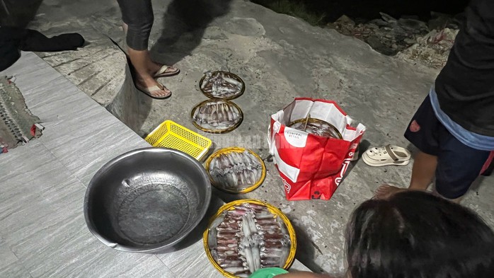 Một mớ mực như vậy có giá từ 250.000-300.000 đồng