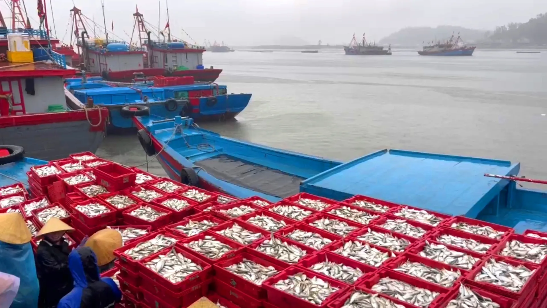 Không có tiêu đề.jpg