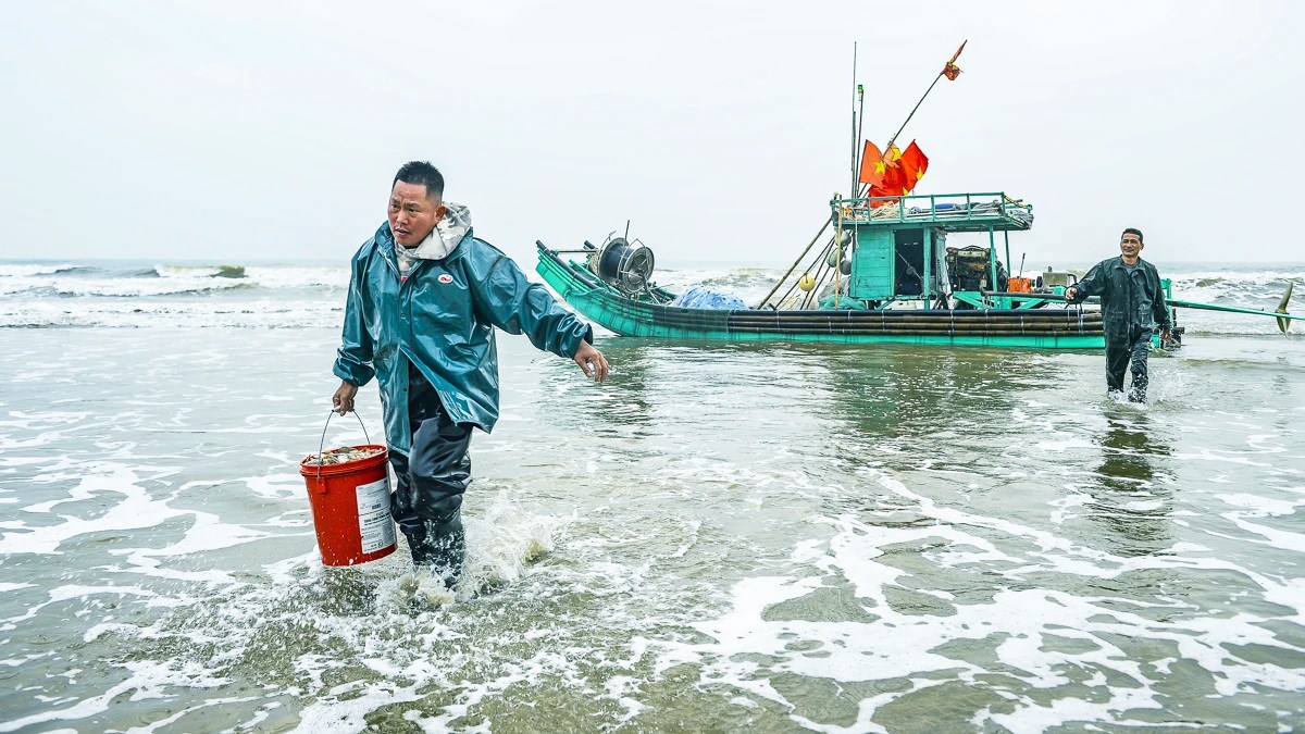 Ngư dân Thanh Hóa vươn khơi, đón "lộc biển" đầu Xuân