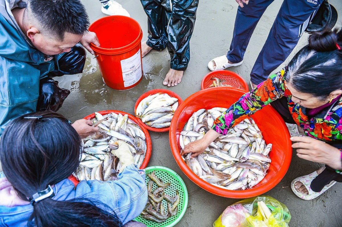 Ngư dân Thanh Hóa vươn khơi, đón "lộc biển" đầu Xuân