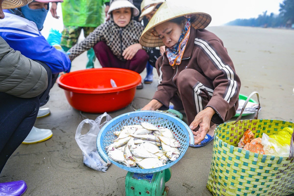 Ngư dân Thanh Hóa vươn khơi, đón "lộc biển" đầu Xuân