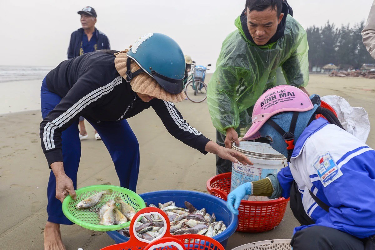 Ngư dân Thanh Hóa vươn khơi, đón "lộc biển" đầu Xuân