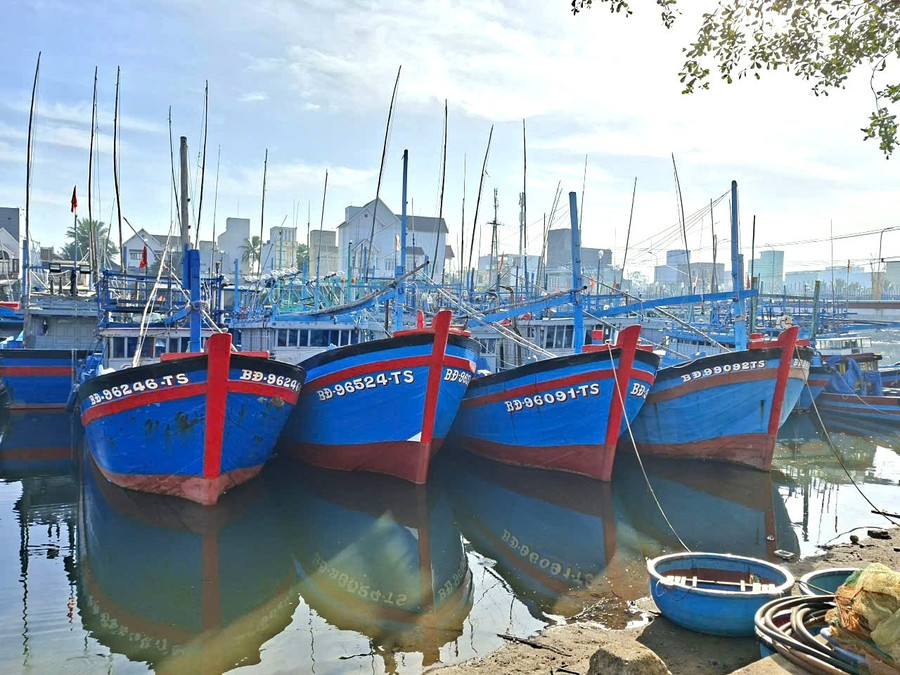 Tỉnh giảm số lượng tàu cá xuống còn khoảng 3.800 chiếc. Ảnh: N.N doi-tau.jpg
