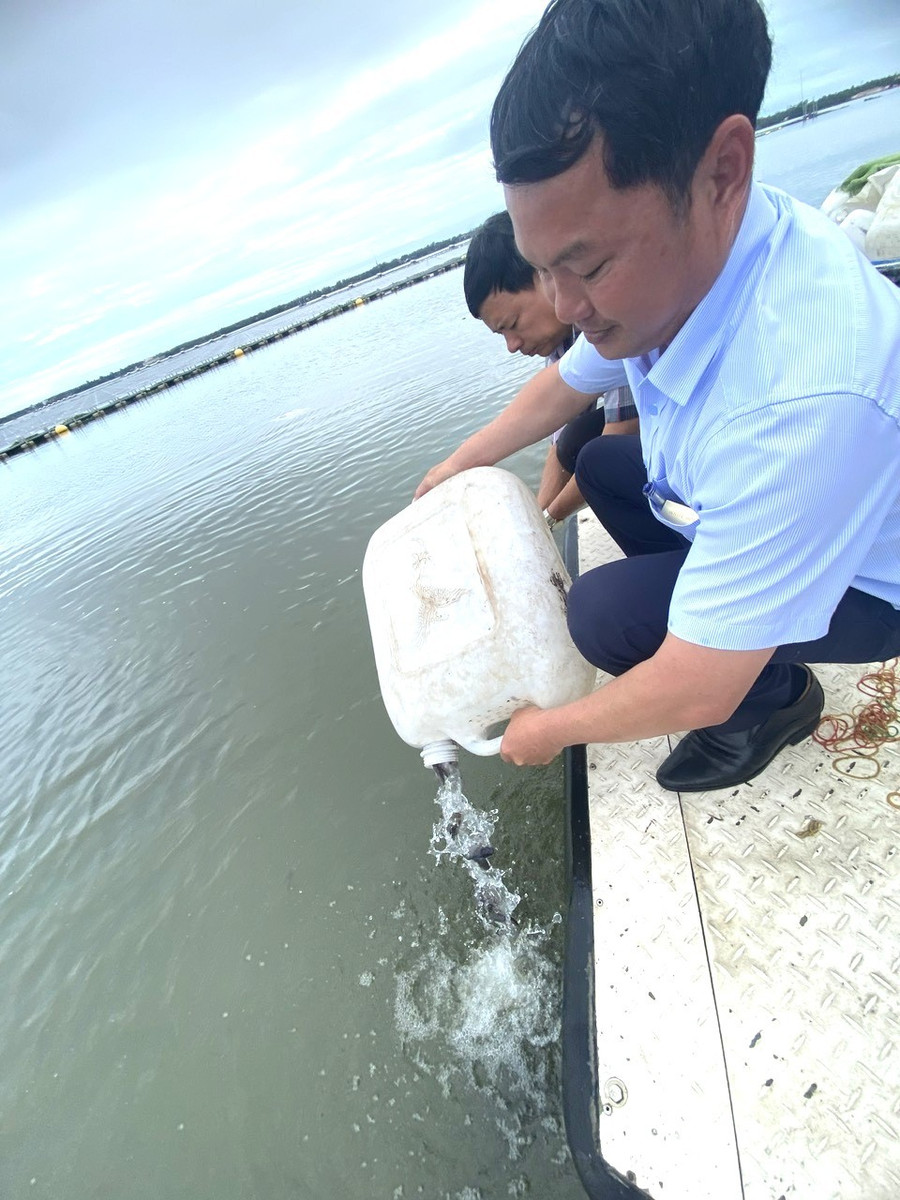 Công tác bảo vệ nguồn lợi thủy sản được tăng cường, góp phần cân bằng hệ sinh thái. Ảnh: N.N tai-tao-nguon-loi.jpg