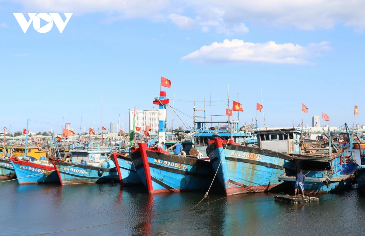 phien bien cuoi nam, ngu dan mien trung thuc hien nghiem chong khai thac iuu hinh anh 4