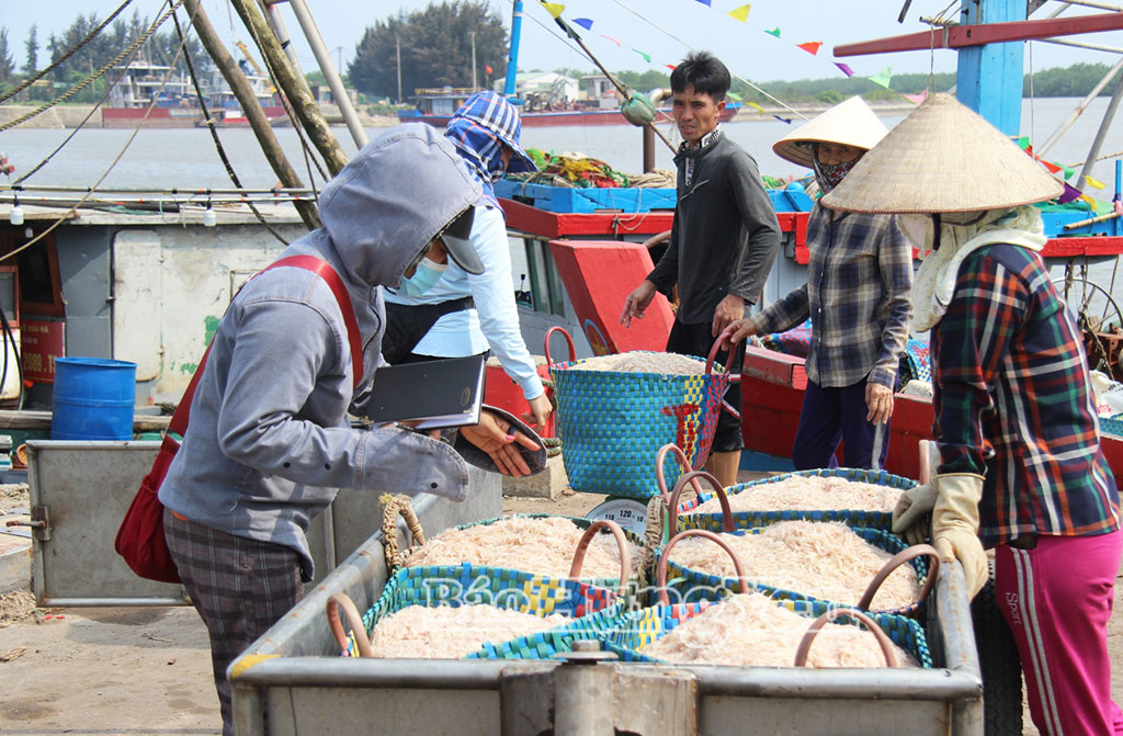 Ngư dân xã Thái Thụy vận chuyển hải sản đánh bắt lên bờ tại cảng cá Tân Sơn.