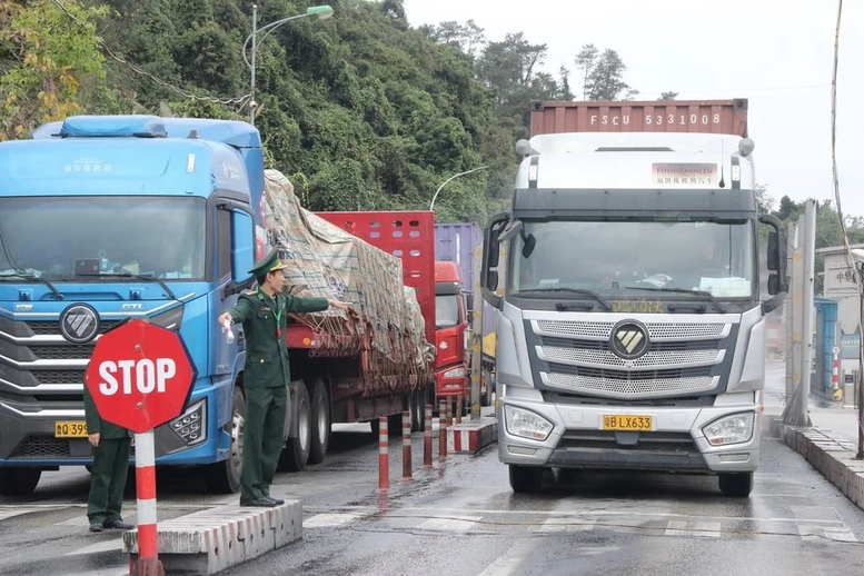 Tạm dừng áp dụng Nghị định số 46 về an toàn thực phẩm đến hết ngày 15/4/2026- Ảnh 1.