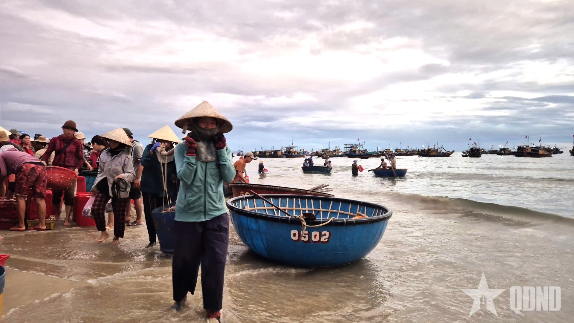 Đề xuất phạt 1 tỷ đồng với nhiều hành vi vi phạm trong lĩnh vực thủy sản