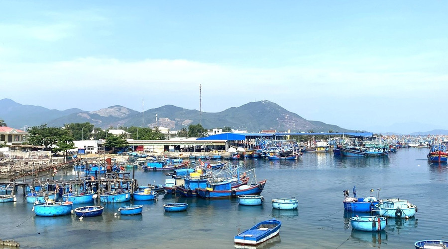 Khoản kinh phí tạm cấp nhằm hỗ trợ các chủ tàu cá chuyển đổi sinh kế, ổn định đời sống. Ảnh: K.H 7.jpg