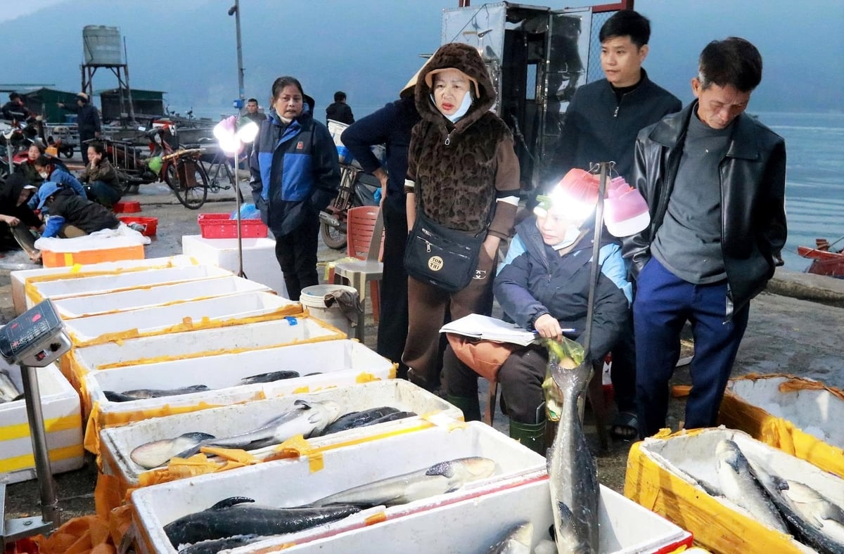 Ngành chức năng và ngư dân Hà Tĩnh nỗ lực cùng cả nước sớm gỡ 'thẻ vàng' IUU. Ảnh: Thanh Nga.