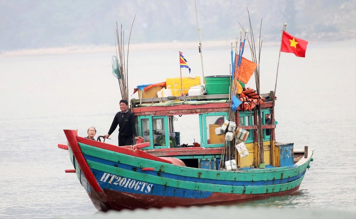 Toàn bộ 3.900 tàu cá có chiều dài từ 6m trở lên đã cài đặt phần mềm truy xuất nguồn gốc điện tử eCDT. Ảnh: Thanh Nga.
