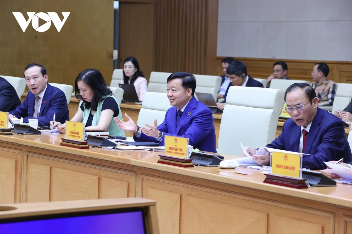 khong chi go the vang iuu, viet nam con huong toi nghe ca ben vung hinh anh 1