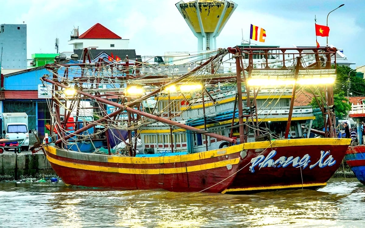 Tỉnh Lâm Đồng đang triển thực hiện 'số hóa' toàn diện hoạt động khai thác. Ảnh: KS. Tỉnh Lâm Đồng đang triển thực hiện 'số hóa' toàn diện hoạt động khai thác. Ảnh: KS.