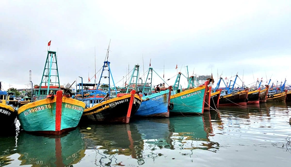 Đội tàu khai thác thủy sản của tỉnh Lâm Đồng. Ảnh: KS. Đội tàu khai thác thủy sản của tỉnh Lâm Đồng. Ảnh: KS.