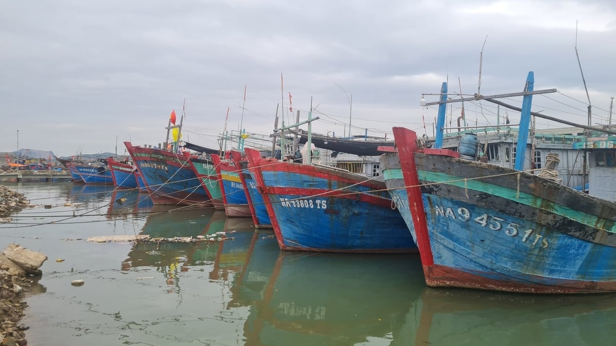 Quản lý nghiêm đội ngũ tàu thuyền tham gia khai thác thủy sản là tiền đề hướng đến tháo gỡ thẻ phạt của EC. Ảnh: Việt Khánh. 