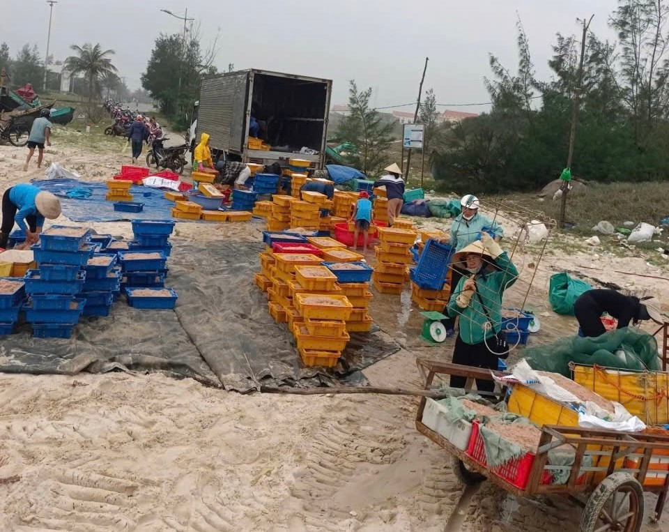 Các bến thuyền nhộn nhịp mua bán hải sản đầu năm mới. img-0262.jpg