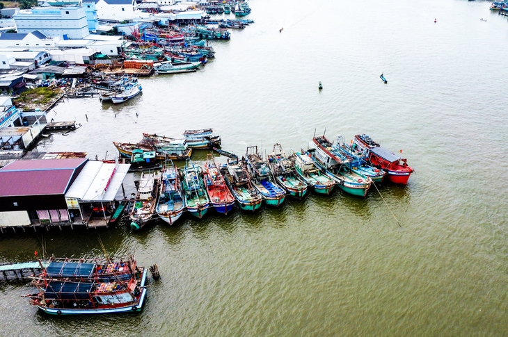 ngư dân - Ảnh 1.