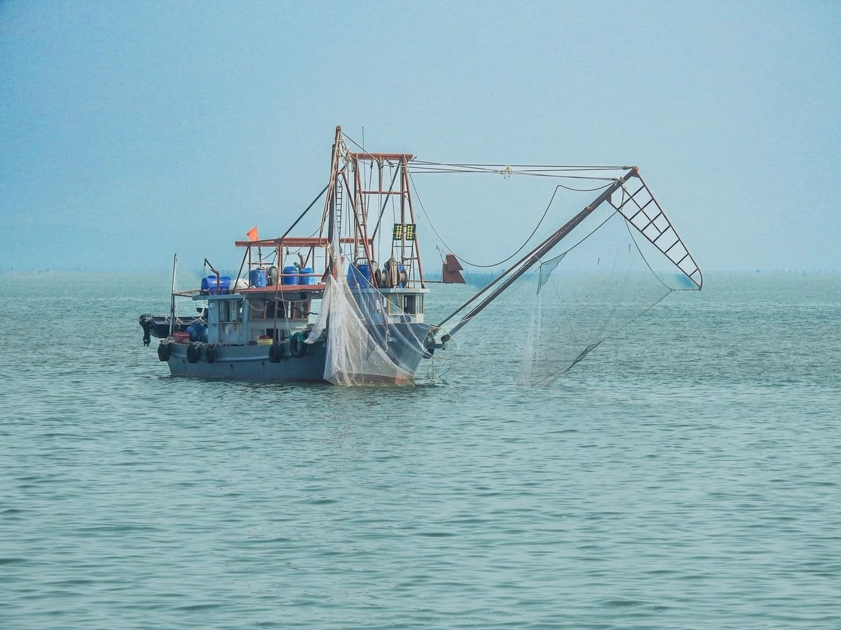 Tàu đánh bắt thủy sản theo kiểu tận diệt tại vùng biển xã Quảng Hà, Quảng Ninh. Ảnh: Cường Vũ. Tàu đánh bắt thủy sản theo kiểu tận diệt tại vùng biển xã Quảng Hà, Quảng Ninh. Ảnh: Cường Vũ.