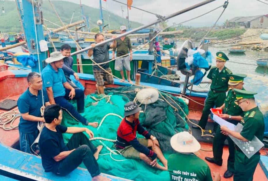 Dự thảo mới đề xuất mức phạt lên đến 300 triệu đồng đối với hành vi thu gom, mua bán thủy sản có nguồn gốc IUU. Ảnh: Hồng Hoa.