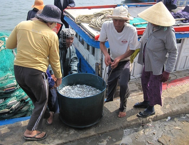 - Ảnh 3. - Ảnh 3.