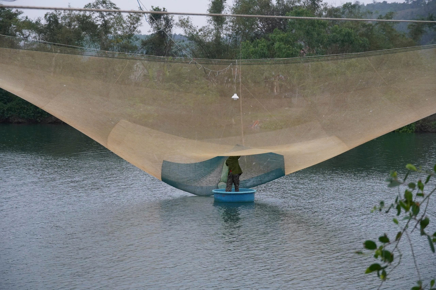 Những người sở hữu giàn rớ trúng đậm cá mòi. img-0266.jpg