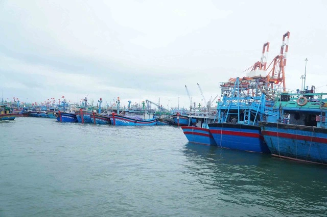 Ngư dân nỗ lực vượt khó - Ảnh 3.