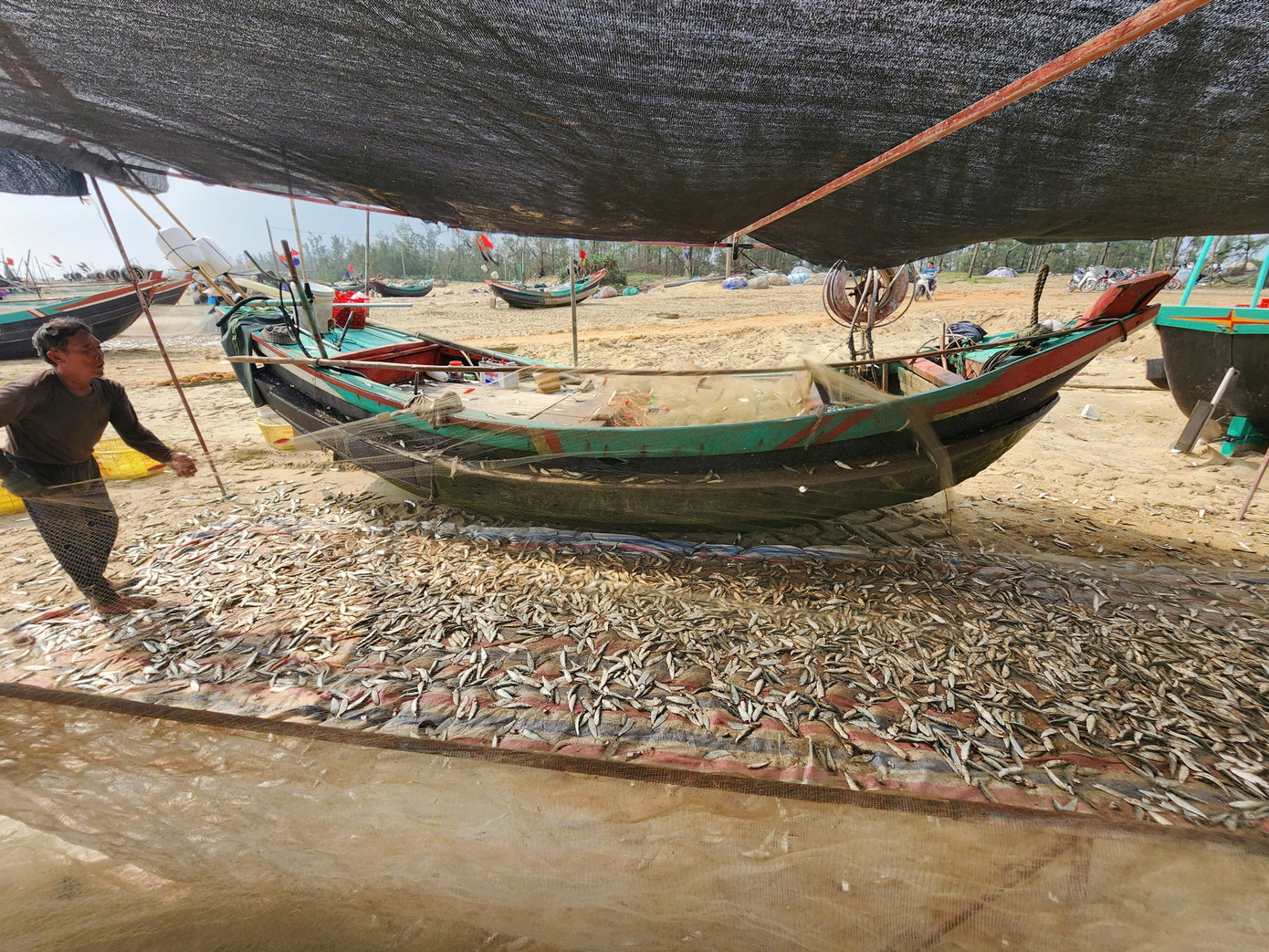 Theo ngư dân địa phương, tranh thủ thời tiết thuận lợi, nhiều tàu xuất bến ra khơi từ khoảng 3 giờ sáng, đánh bắt ở ngư trường cách bờ vài hải lý. Đến khoảng 10 giờ cùng ngày, các tàu lần lượt cập bờ sau nhiều giờ đánh bắt. 4284163876077965590.jpg