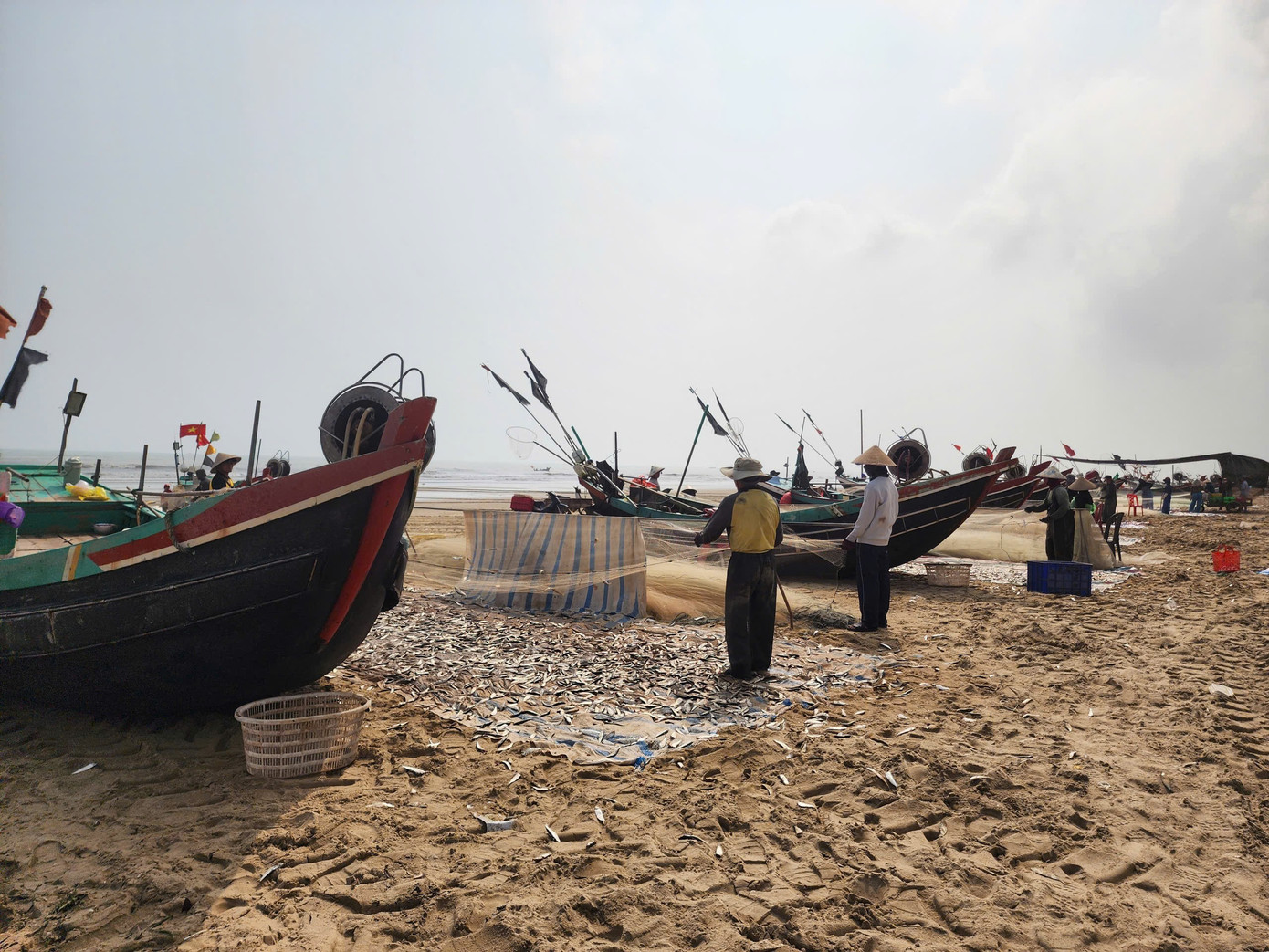 Tại xã Thạch Lạc, xã Đồng Tiến (Hà Tĩnh), những ngày gần đây, các ngư dân đánh bắt hải sản gần bờ trúng đậm cá trích. Ghi nhận dọc bờ biển hai địa phương cho thấy không khí thu mua, vận chuyển cá diễn ra nhộn nhịp. a5b6a0f2e0766e283767.jpg