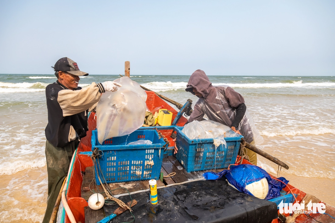 Cao điểm mùa khai thác sứa, ngư dân kiếm 1 - 2 triệu đồng ngày - Ảnh 5.
