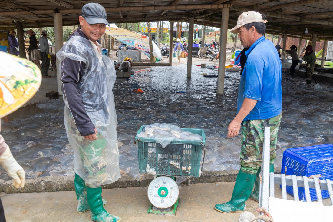 ngư dân - Ảnh 9.