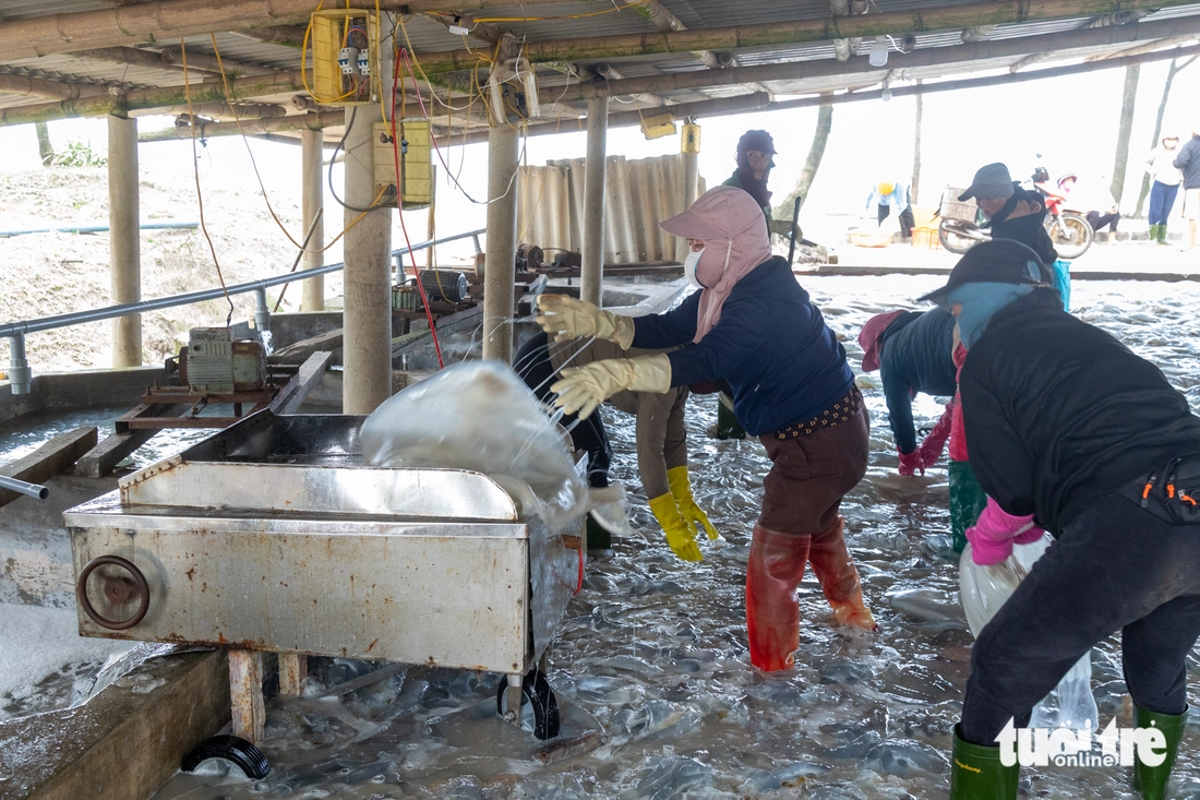 ngư dân - Ảnh 10.