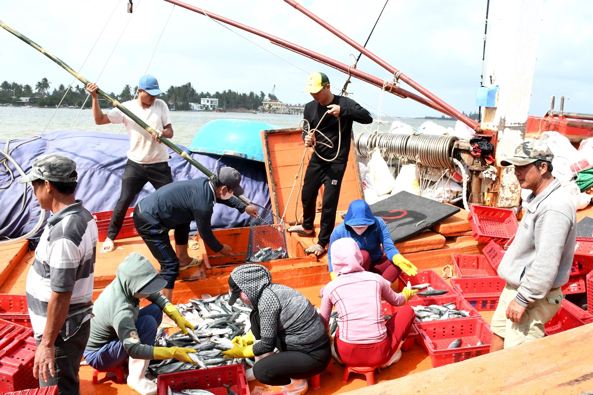 Quảng Nam đang hướng đến nghề cá bền vững. Trong ảnh: Tàu cá QNa-91945 của ngư dân Nguyễn Thanh Vương cập cảng cá Tam Quang (Núi Thành) bán hải sản. Ảnh: QUANG VIỆT