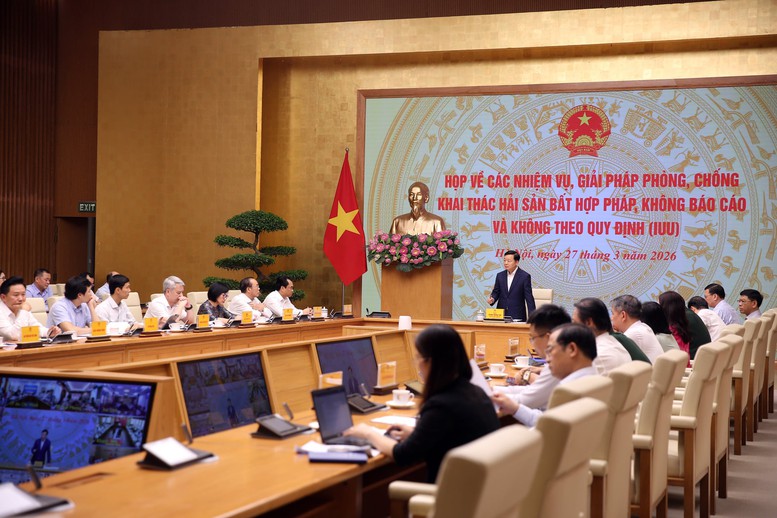 Tập trung cao độ khắc phục các khuyến nghị của Đoàn thanh tra IUU của EC- Ảnh 7.