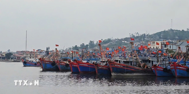 ttxvn-2503-thanh-hoa-iuu-2.jpg