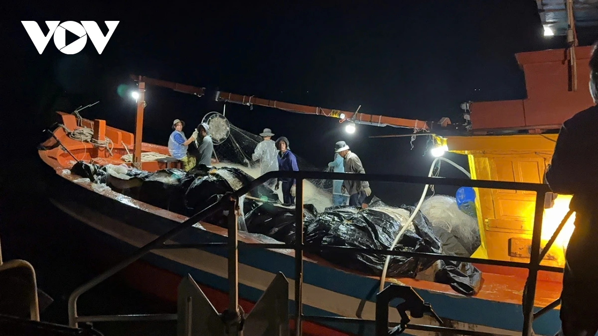 xu ly 02 tau ca khai thac thuy san sai vung quy dinh hinh anh 1