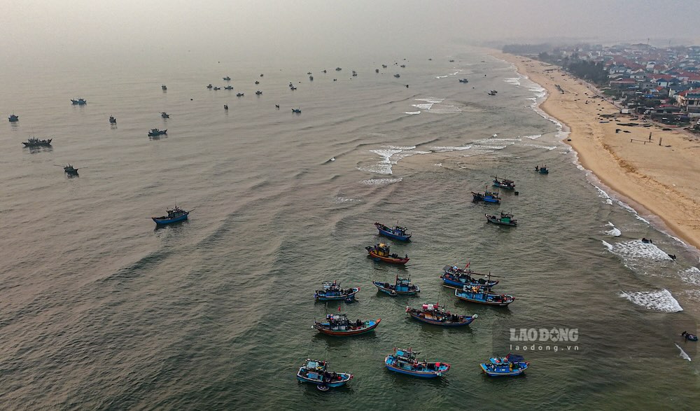 Những chiếc thuyền chở đầy ắp cá nục trở về bờ. Ảnh: Nguyễn Luân