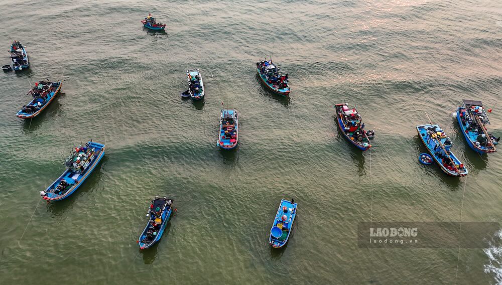 Thuyền tập trung cách bờ khá xa để tránh mắc cạn. Ảnh: Nguyễn Luân