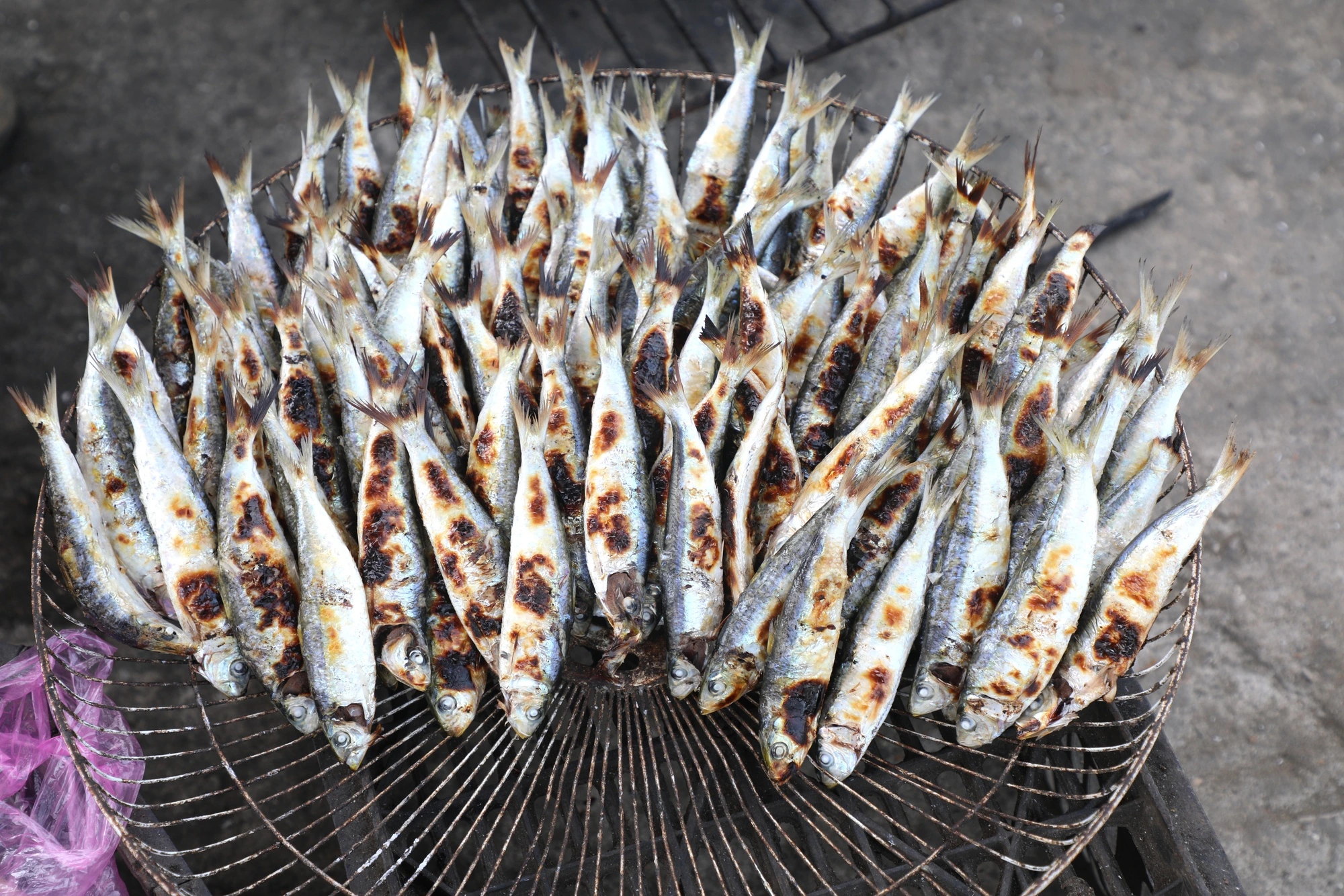 Cá trích gây 'sốt' mạng xã hội- Ảnh 2. Cá trích gây 'sốt' mạng xã hội- Ảnh 2.