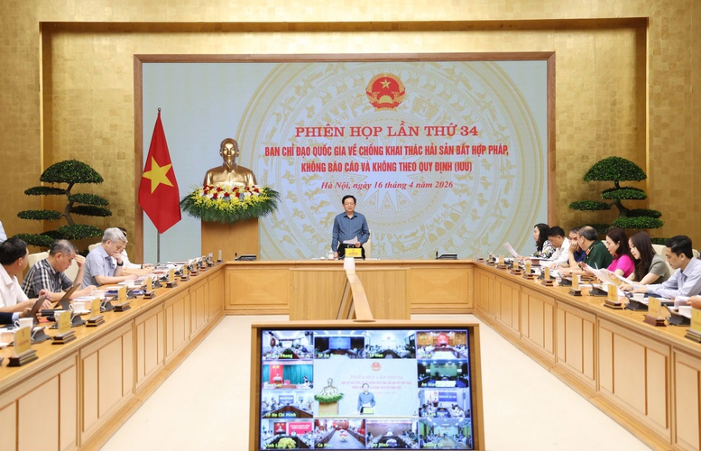Tăng tốc gỡ 'thẻ vàng' IUU: Hành động quyết liệt, khắc phục triệt để khuyến nghị của EC- Ảnh 1. Tăng tốc gỡ 'thẻ vàng' IUU: Hành động quyết liệt, khắc phục triệt để khuyến nghị của EC- Ảnh 1.