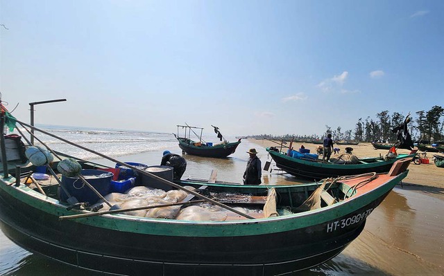 Mùa lộc biển tại đồng Tiến: Ngư dân thu hoạch vàng trắng từ biển cả - Ảnh 1.