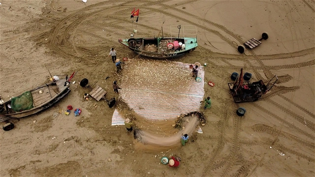 Mùa lộc biển: Săn 'bạc xanh' trên sóng biển- Ảnh 4. Mùa lộc biển: Săn 'bạc xanh' trên sóng biển- Ảnh 4.