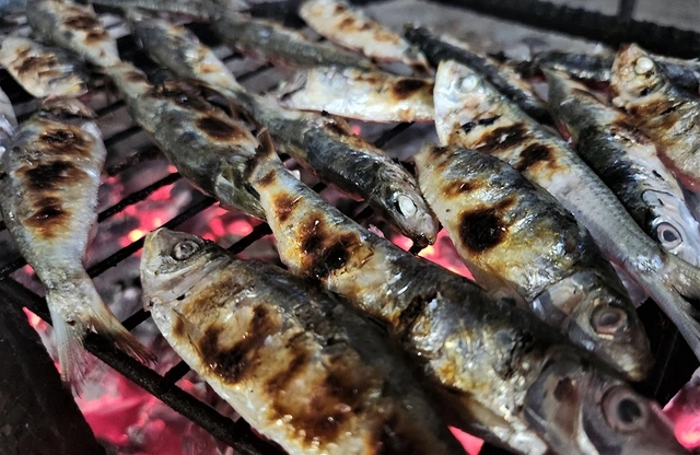 Mùa lộc biển: Săn 'bạc xanh' trên sóng biển- Ảnh 7. Mùa lộc biển: Săn 'bạc xanh' trên sóng biển- Ảnh 7.